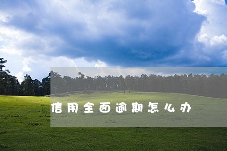 信用全面逾期怎么办 信用全面逾期怎么办