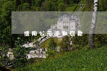 信用公示逾期罚款