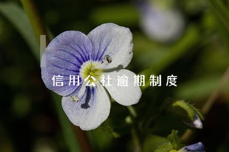 信用公社逾期制度 信用公社逾期制度