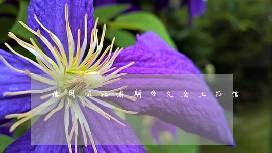 信用公社逾期多久会上征信 信用公社逾期多久会上征信