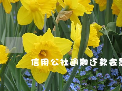 信用公社逾期还款会影响征信吗 信用公社逾期还款会影响征信吗