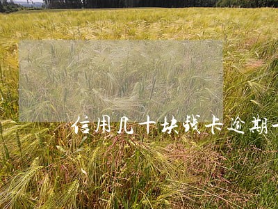 信用几十块钱卡逾期一周有影响吗 信用几十块钱卡逾期一周有影响吗