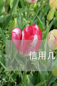 信用几次逾期 信用几次逾期