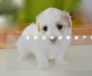 信用出现逾期房产能二次抵押吗 信用出现逾期房产能二次抵押吗