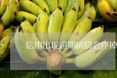 信用出现逾期房贷会停掉的吗 信用出现逾期房贷会停掉的吗