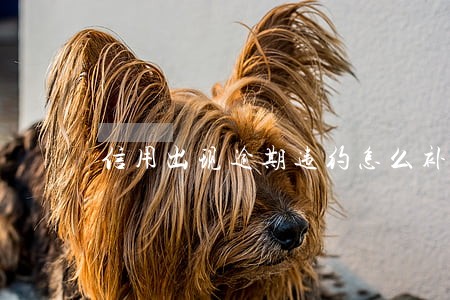 信用出现逾期违约怎么补偿 信用出现逾期违约怎么补偿