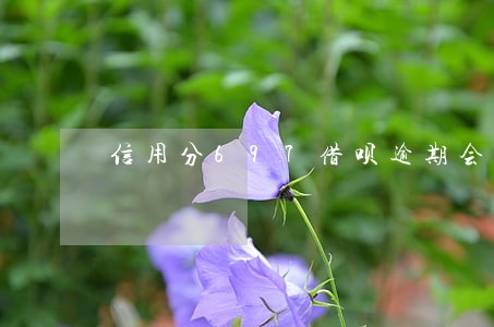 信用分697借呗逾期会怎么样 信用分697借呗逾期会怎么样