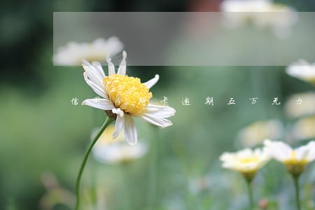 信用分期卡逾期五万无力偿还 信用分期卡逾期五万无力偿还