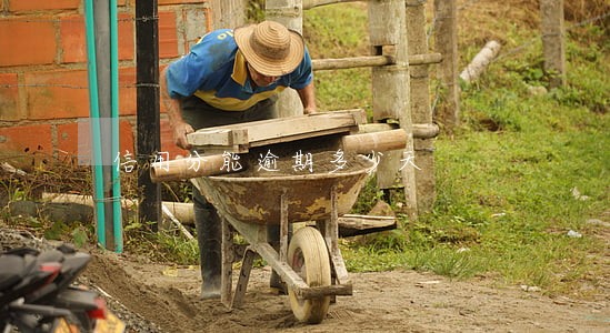 信用分能逾期多少天 信用分能逾期多少天