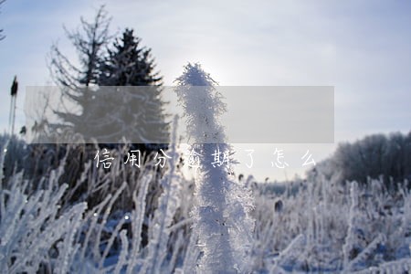 信用分逾期了怎么