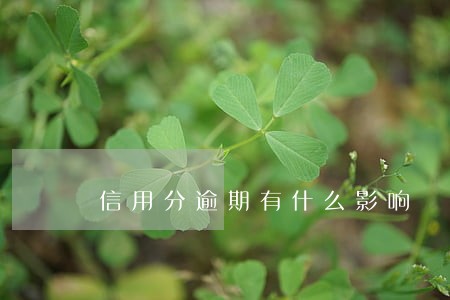 信用分逾期有什么影响 信用分逾期有什么影响