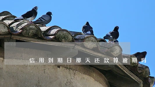 信用到期日那天还款算逾期吗 信用到期日那天还款算逾期吗