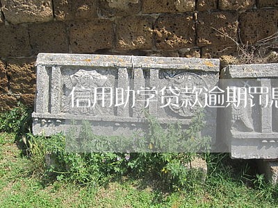 信用助学贷款逾期罚息 信用助学贷款逾期罚息