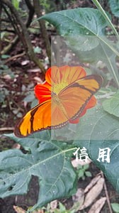 信用卞逾期6次能贷款吗 信用卞逾期6次能贷款吗