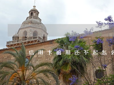 信用卞逾期还不起怎么办 信用卞逾期还不起怎么办