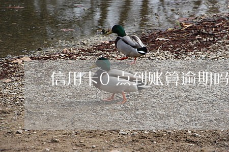 信用卡0点到账算逾期吗 信用卡0点到账算逾期吗