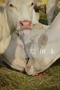信用卡10000额度逾期 信用卡10000额度逾期