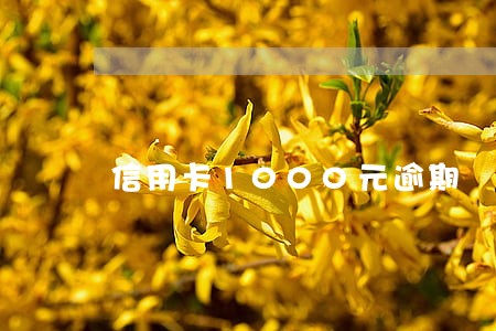 信用卡1000元逾期 信用卡1000元逾期