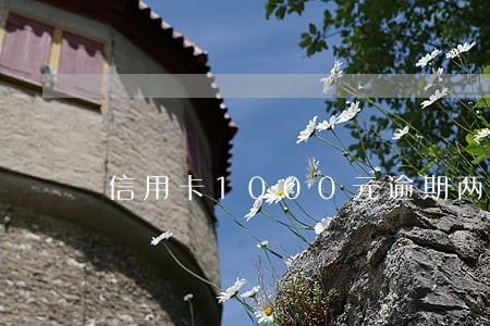 信用卡1000元逾期两年6 信用卡1000元逾期两年6