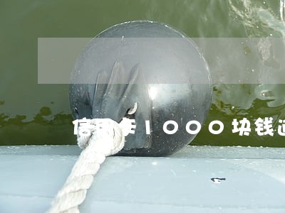 信用卡1000块钱逾期利息 信用卡1000块钱逾期利息