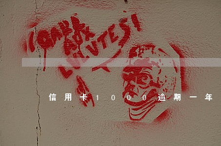 信用卡1000逾期一年多少钱 信用卡1000逾期一年多少钱