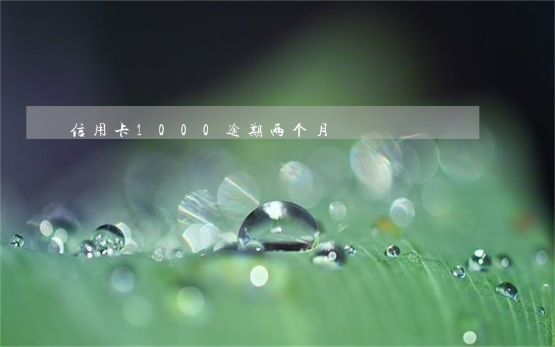 信用卡1000逾期两个月 信用卡1000逾期两个月