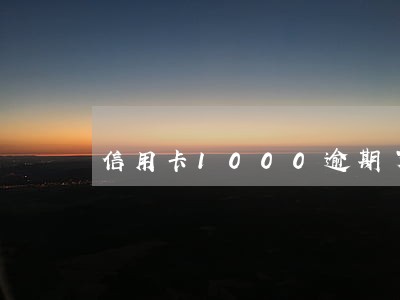 信用卡1000逾期了怎么办呀 信用卡1000逾期了怎么办呀
