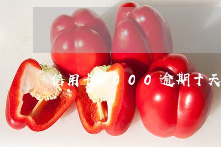 信用卡1000逾期十天