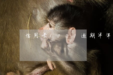 信用卡1000逾期半年