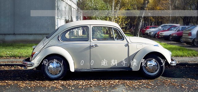 信用卡1000逾期手续费多少 信用卡1000逾期手续费多少