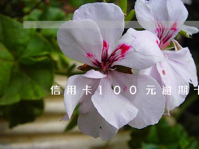 信用卡100元逾期十几年了 信用卡100元逾期十几年了