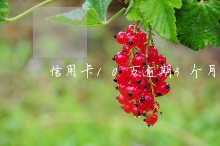 信用卡10万逾期3个月了 信用卡10万逾期3个月了