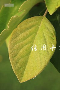 信用卡10万逾期3年要坐牢吗 信用卡10万逾期3年要坐牢吗