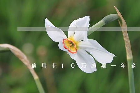 信用卡10万逾期一年多