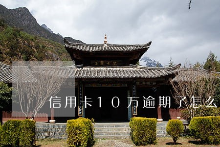 信用卡10万逾期了怎么办 信用卡10万逾期了怎么办
