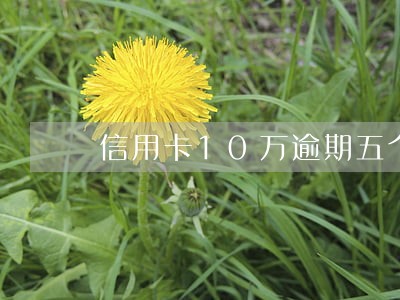 信用卡10万逾期五个月 信用卡10万逾期五个月