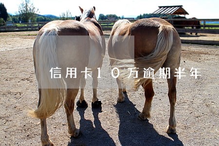 信用卡10万逾期半年