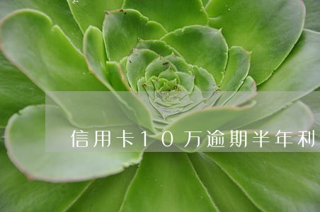 信用卡10万逾期半年利息多少 信用卡10万逾期半年利息多少
