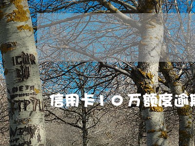 信用卡10万额度逾期