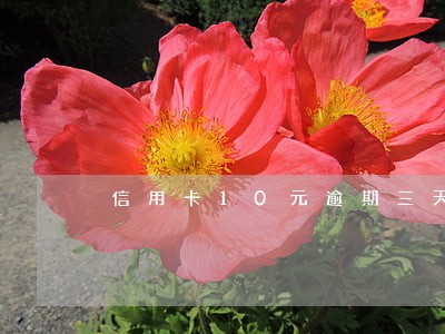 信用卡10元逾期三天 信用卡10元逾期三天