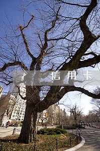 信用卡10元逾期了五年怎么还