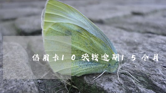 信用卡10块钱逾期15个月 信用卡10块钱逾期15个月