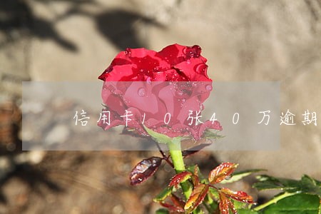 信用卡10张40万逾期 信用卡10张40万逾期
