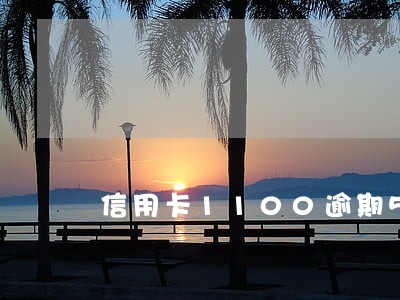 信用卡1100逾期5天 信用卡1100逾期5天