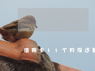 信用卡11个月没还算逾期几次 信用卡11个月没还算逾期几次