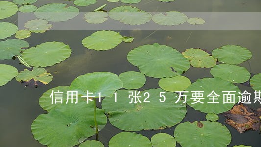 信用卡11张25万要全面逾期了 信用卡11张25万要全面逾期了