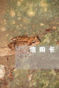信用卡11张要逾期了该怎样面对 信用卡11张要逾期了该怎样面对
