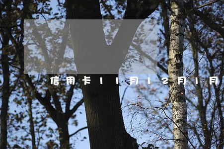 信用卡11月12月1月逾期