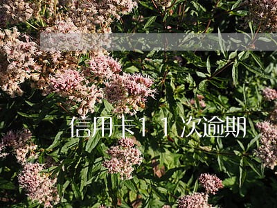 信用卡11次逾期