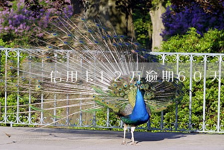 信用卡12万逾期60天后果